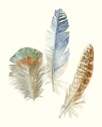 Framed Watercolor Feathers III Print