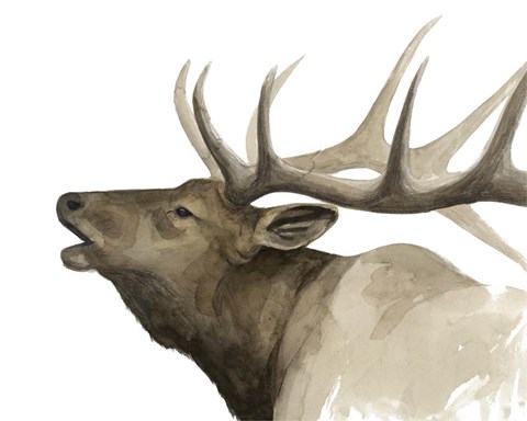 Framed Call of the Elk II Print