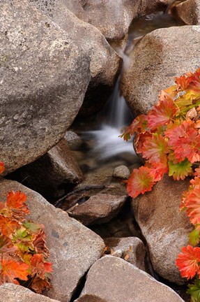 Framed Small Waterfall In The Sierra Nevada Mountains Print