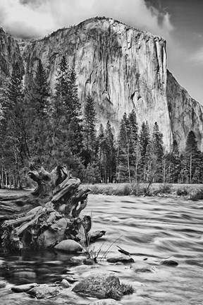 Framed California, Yosemite, El Capitan (BW) Print