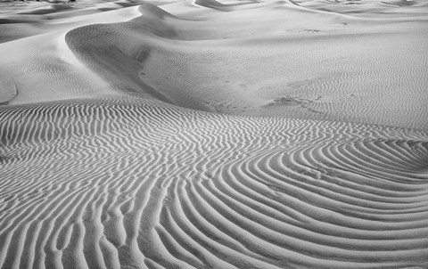 Framed California, Valley Dunes Panoramic View Print