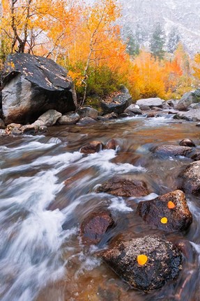 Framed Rushing Water Along Bishop Creek Print