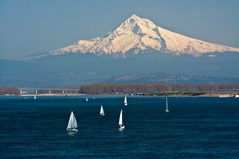 Framed Sailboats On The Columbia River, Oregon Print