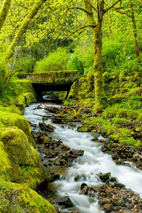 Framed Wahkeena Falls, Oregon Print