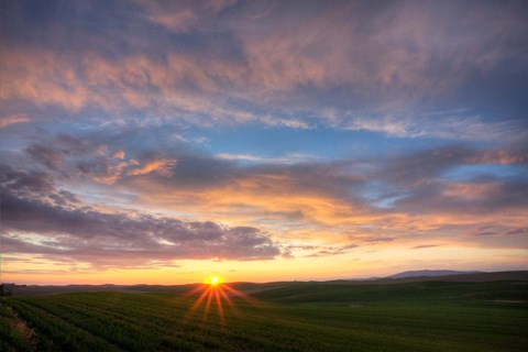 Framed Sunset Cast On Rolling Hills Of Green, Washington State Print