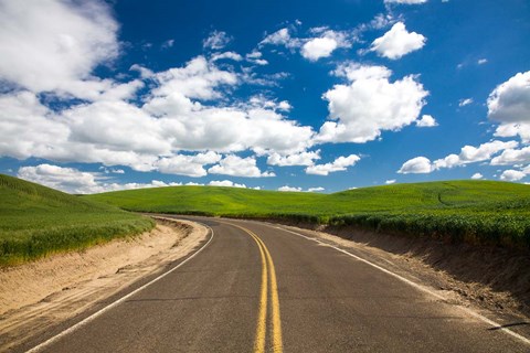 Framed Backroad Through The Green Fields Of Washington Print