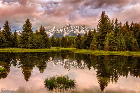 Framed Schwabacher Landing, Panorama, Wyoming Print