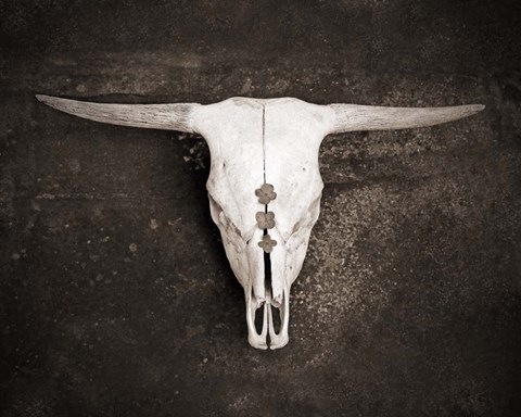 Framed Sepia Cattle Skull Print