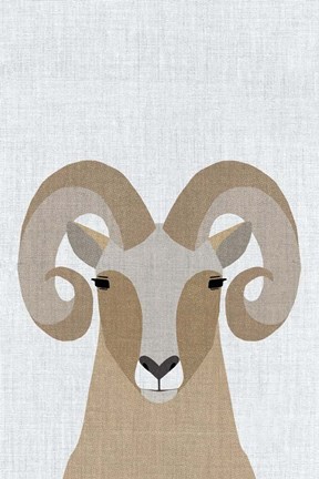 Framed Bighorn Sheep Print