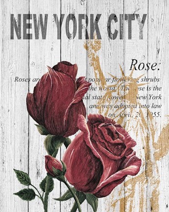 Framed New York Roses Print