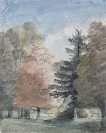 Framed Study of Trees in a Park Print