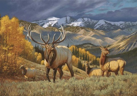 Mountain Heir Art by Lambson's Wildlife Art at FramedArt.com