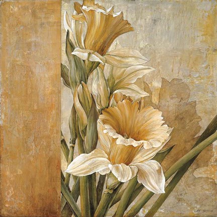 Framed Champagne Daffodils II Print