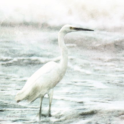 Framed Coastal Heron Print