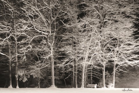 Framed Snowy Trees Print