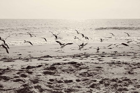 Framed Dream of the Beach I Print