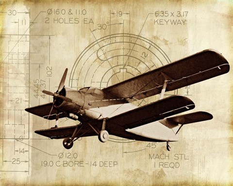 Framed Flight Plans II Print