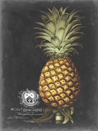 Framed Royal Brookshaw Pineapple I Print