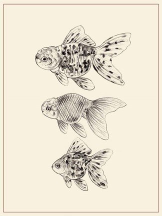 Framed Goldfish II Print