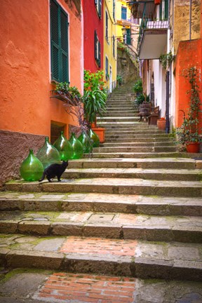 Framed Europe, Italy, Monterosso Cat On Long Stairway Print