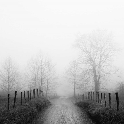 Framed Sparks Lane in Fog Print