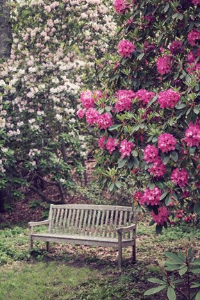 Framed Rest Among The Flowers Print