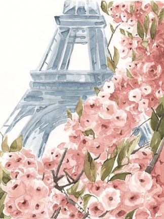 Framed Paris Cherry Blossoms II Print