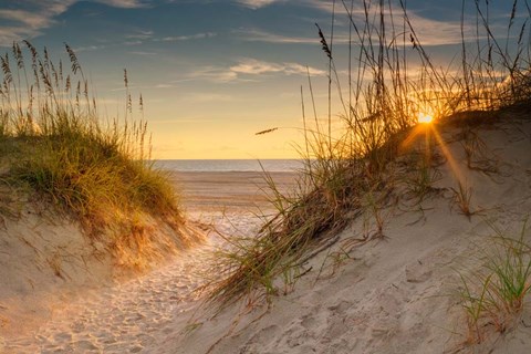 Framed Coastal Dunes Print