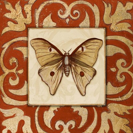 Framed Moroccan Butterfly II Print