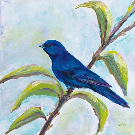 Framed Indigo Bunting Print