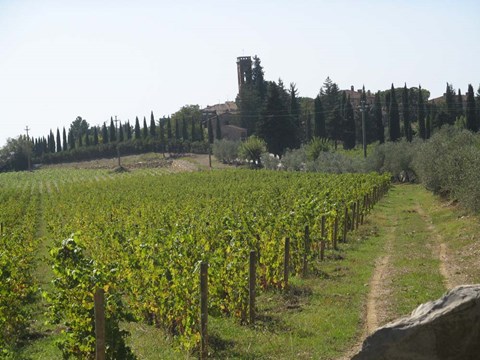 Framed Tuscany 1 Print