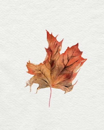 Framed Watercolor Autumn Leaf II Print