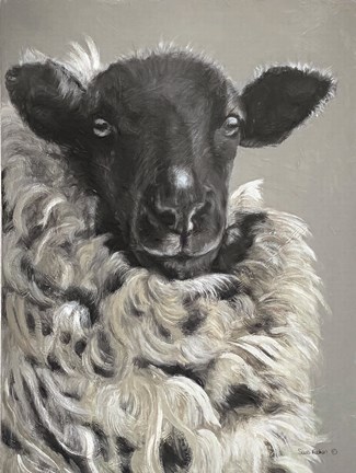 Framed Sheep Print