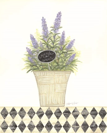 Framed Lavender Serenity Print