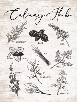 Framed Culinary Herbs Print