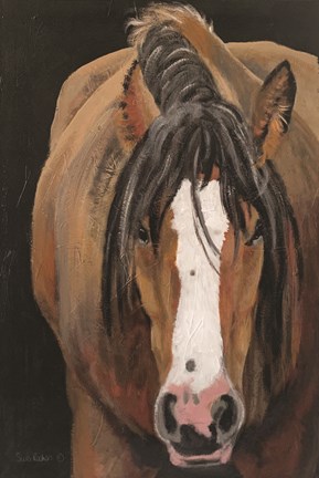 Framed Horse Portrait II Print