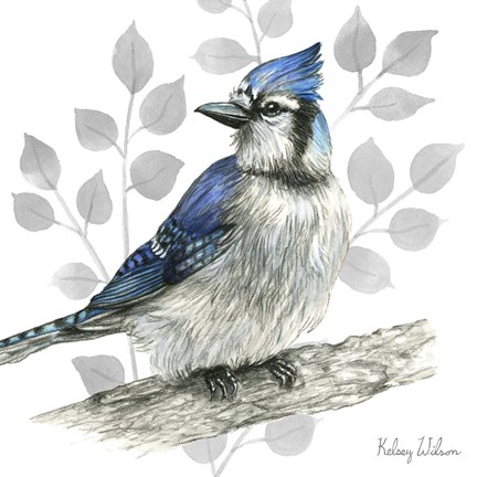 Framed Backyard Birds I-Blue Jay Print