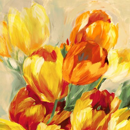 Framed Tulips in the Sun I Print