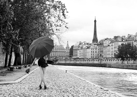 Framed Quai de la Seine (BW) Print