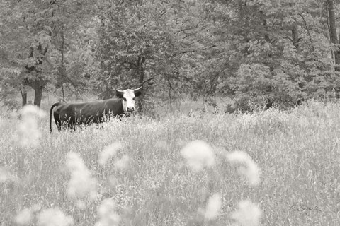 Framed Summer Farm II BW Print