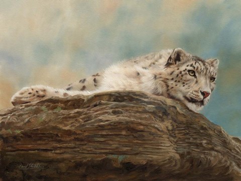 Framed Snow Leopard 14 Print