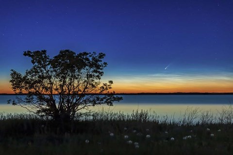 Framed Comet NEOWISE Over Deadhorse Lake Print