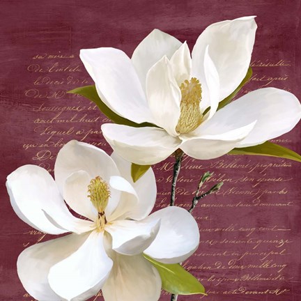 Framed Burgundy Magnolia II Print