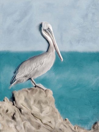 Framed Pelican Perch Print