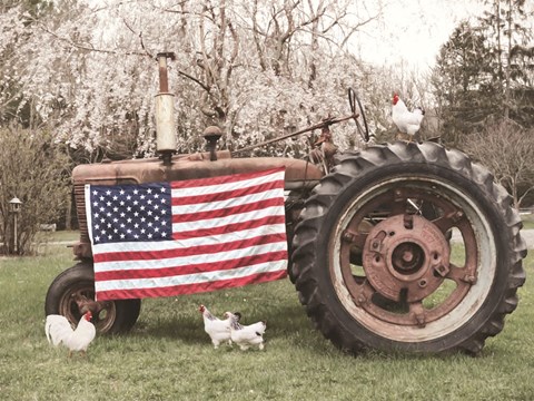 Framed Country Pride Print