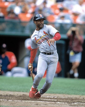 Ozzie Smith Poster by Unknown at