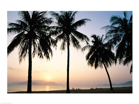 Framed Silhouette of palm trees on a beach during sunrise, Nha Trang Beach, Nha Trang, Vietnam Print