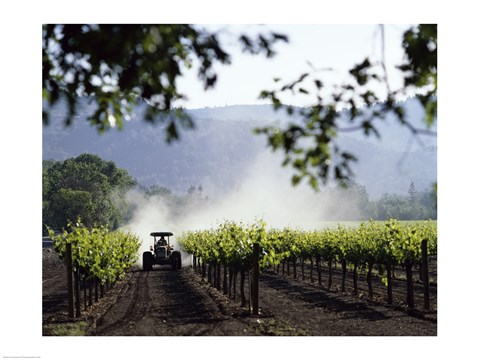 Framed Tractor in a field, Napa Valley, California, USA Print