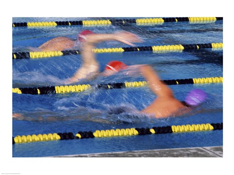 Framed Rear view of three swimmers racing in a swimming pool Print