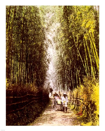 Framed Bamboo Path Print